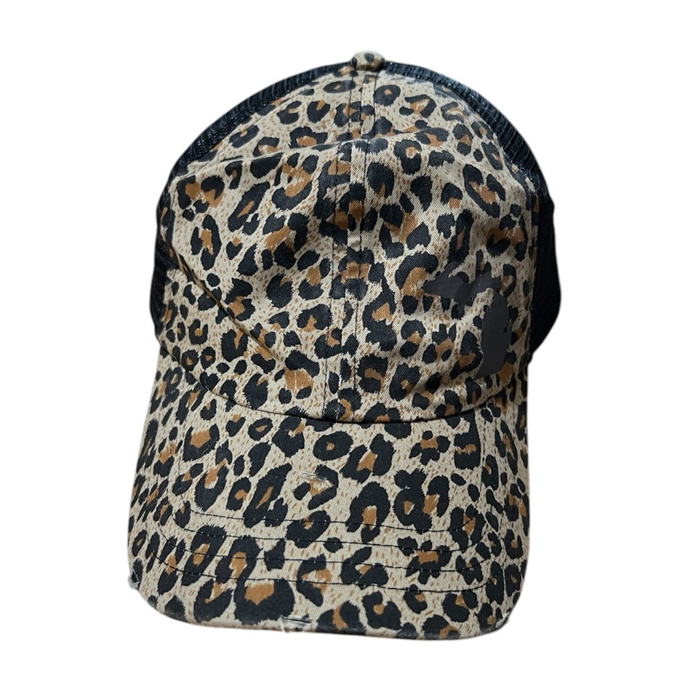 Michigan Hat